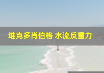 维克多肖伯格 水流反重力